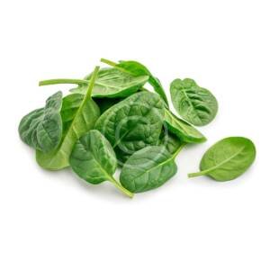 Fresh Basil